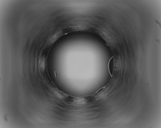 X0000097660334200803071538
