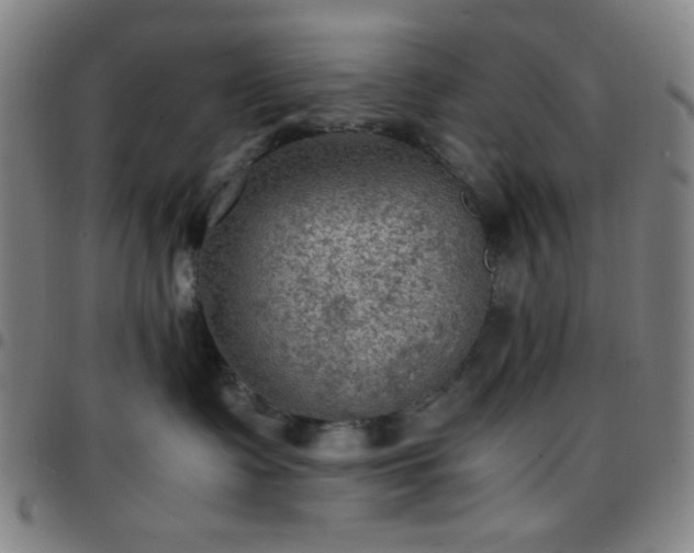 X0000097660335200803071538