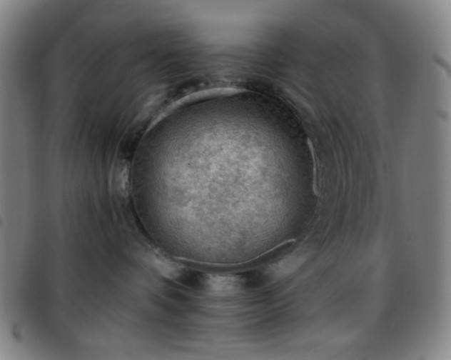X0000097660336200803071538