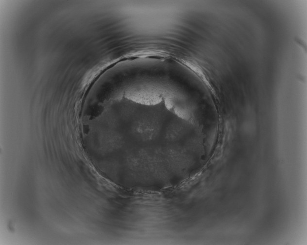 X0000097660337200803071537