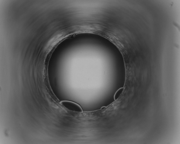 X0000097660338200803071537