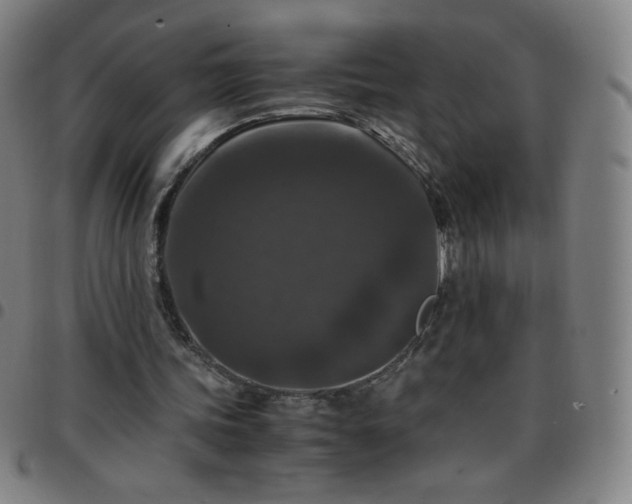 X0000097660339200803071537