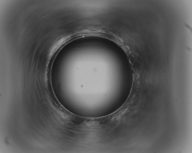 X0000097660340200803071537