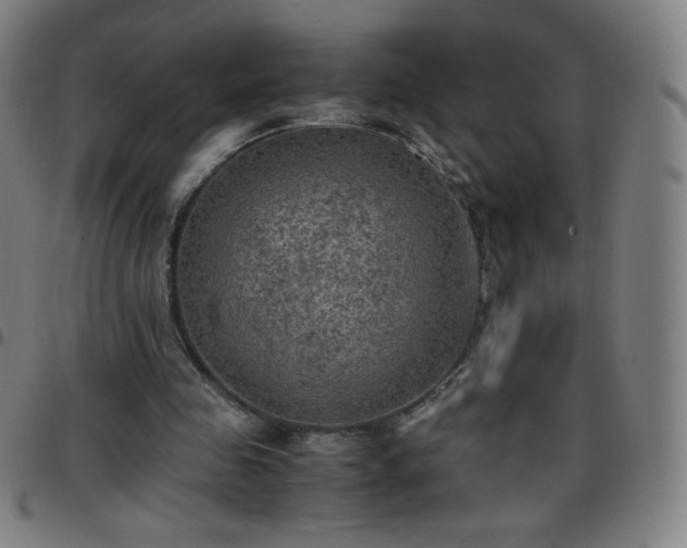 X0000097660341200803071537