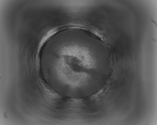 X0000097660343200803071537