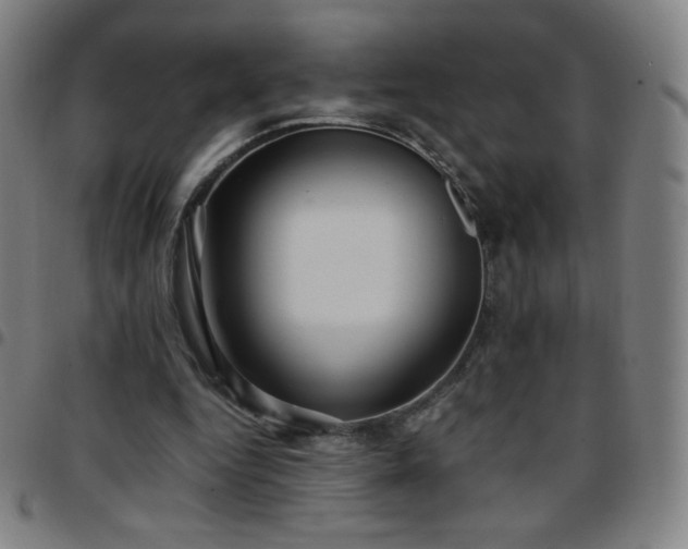 X0000097660344200803071537