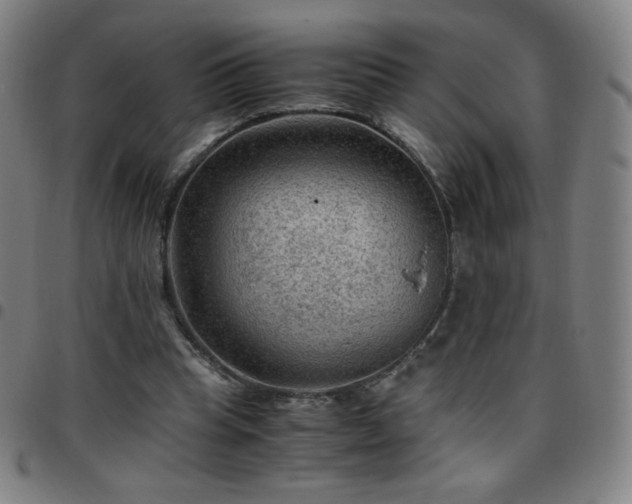 X0000097660345200803071537