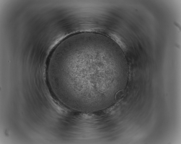 X0000097660346200803071537