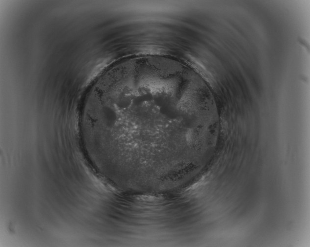 X0000097660347200803071537