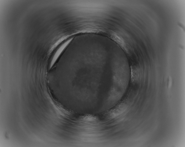 X0000097660348200803071537