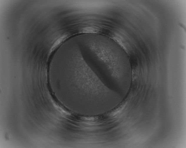 X0000097660349200803071537