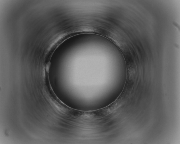 X0000097660350200803071537