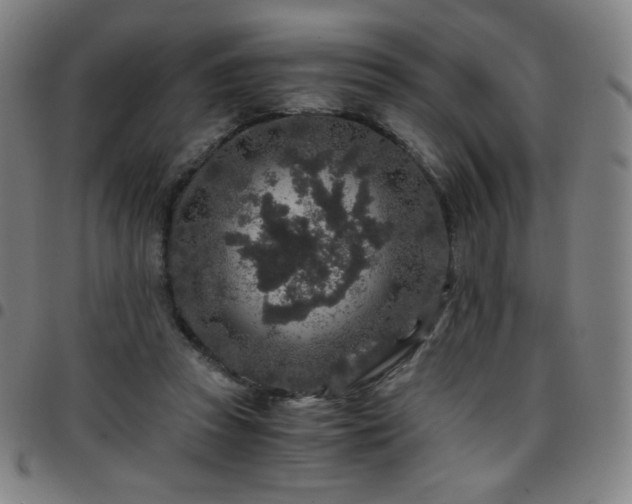 X0000097660353200803071538