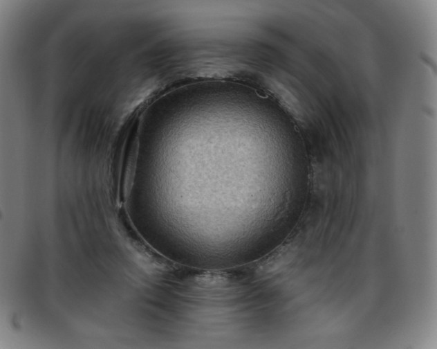 X0000097660354200803071538