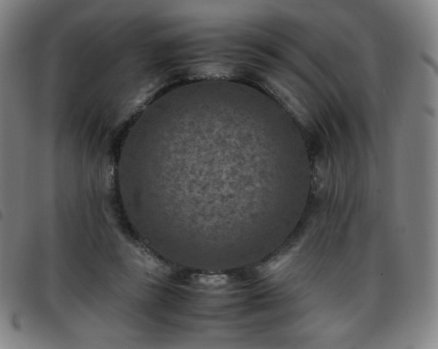 X0000097660355200803071538