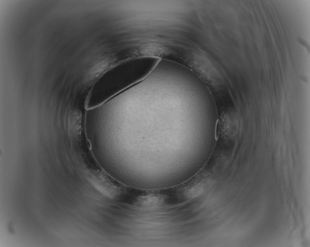 X0000097660356200803071538