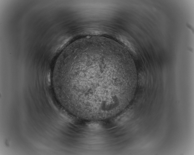 X0000097660358200803071538