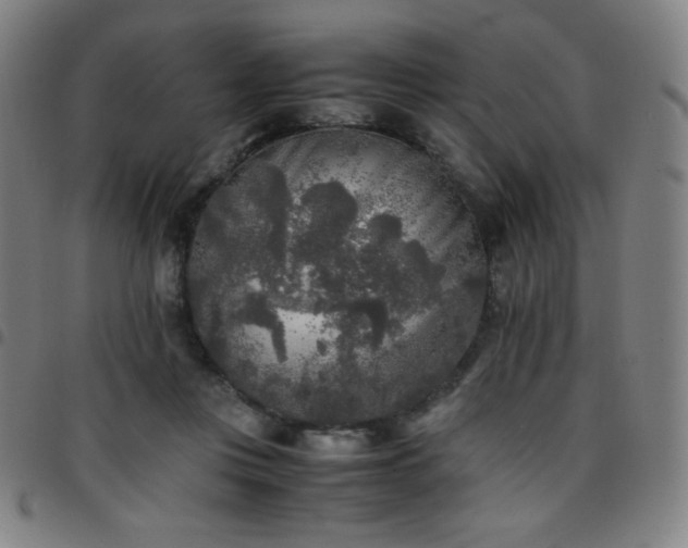 X0000097660359200803071538