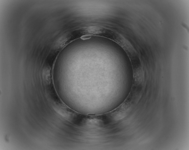 X0000097660360200803071538
