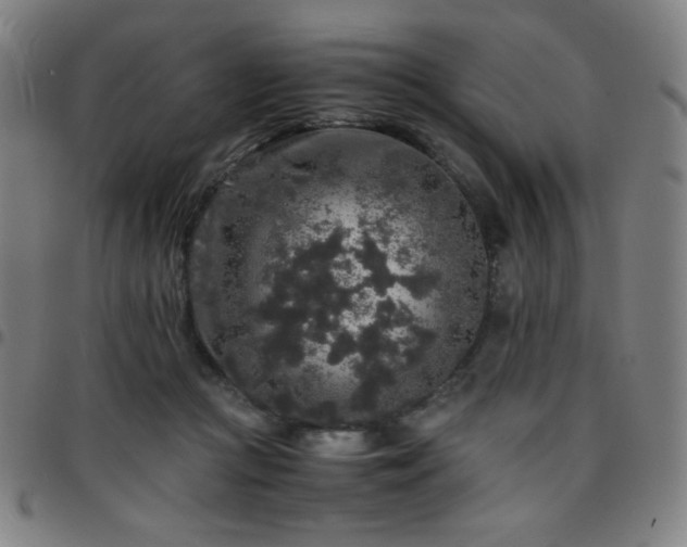 X0000097660361200803071538