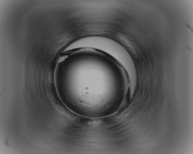 X0000097660362200803071538