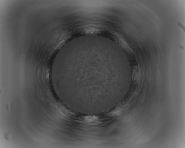 X0000097660363200803071538