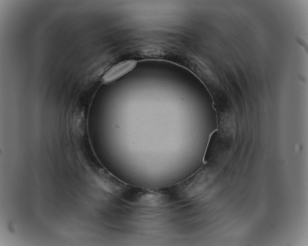 X0000097660364200803071538