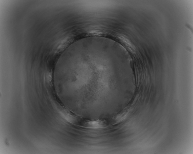 X0000097660365200803071538