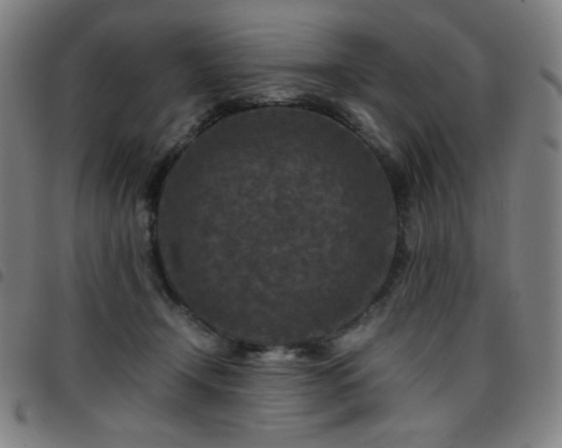 X0000097660366200803071538