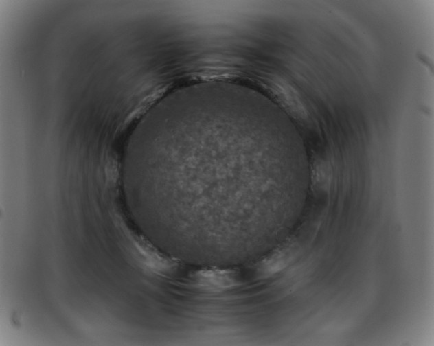 X0000097660367200803071538