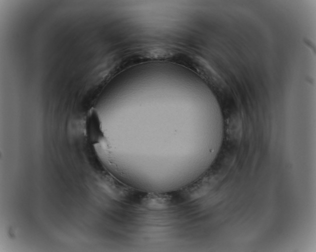 X0000097660368200803071538