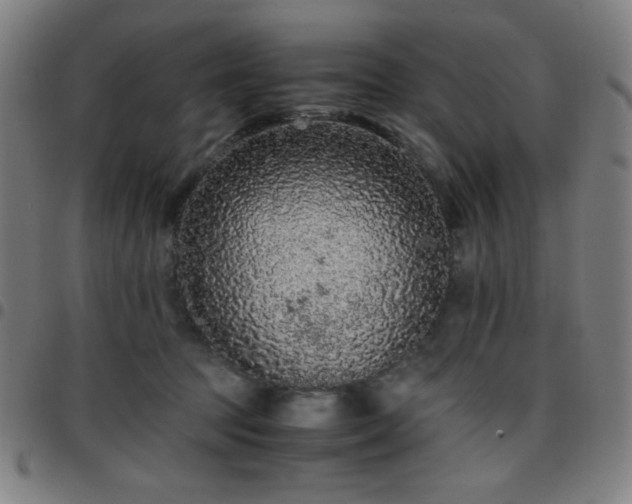 X0000097660369200803071538