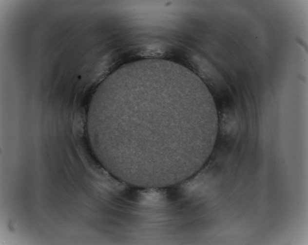 X0000097660370200803071538
