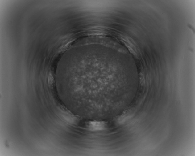 X0000097660371200803071538