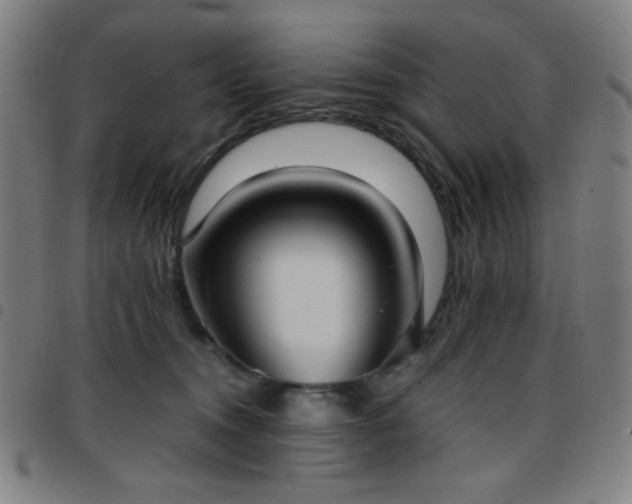 X0000097660372200803071538