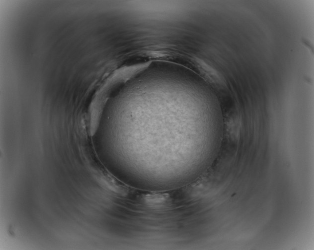 X0000097660373200803071538