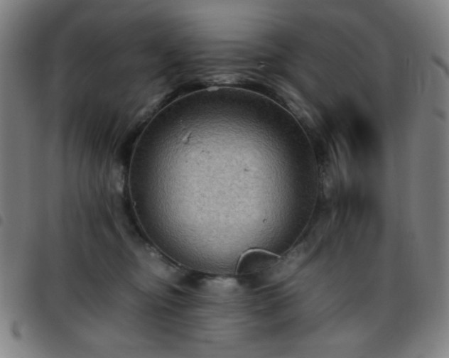 X0000097660374200803071538