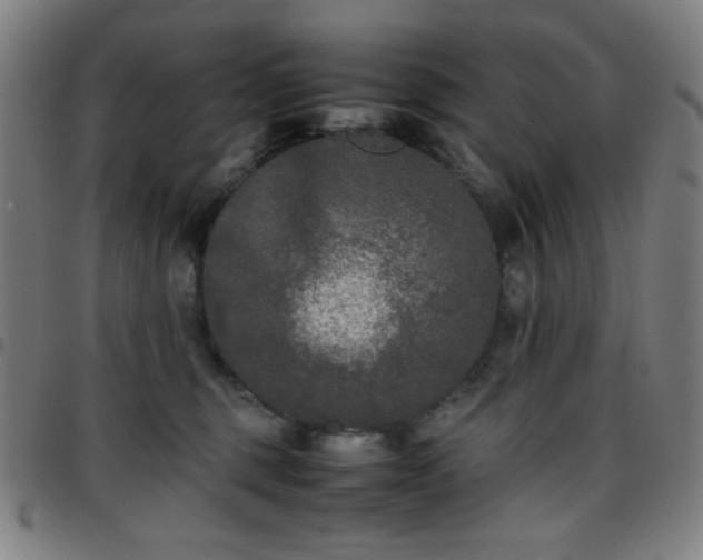X0000097660375200803071538