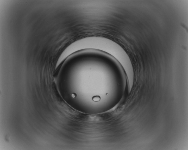 X0000097660376200803071538