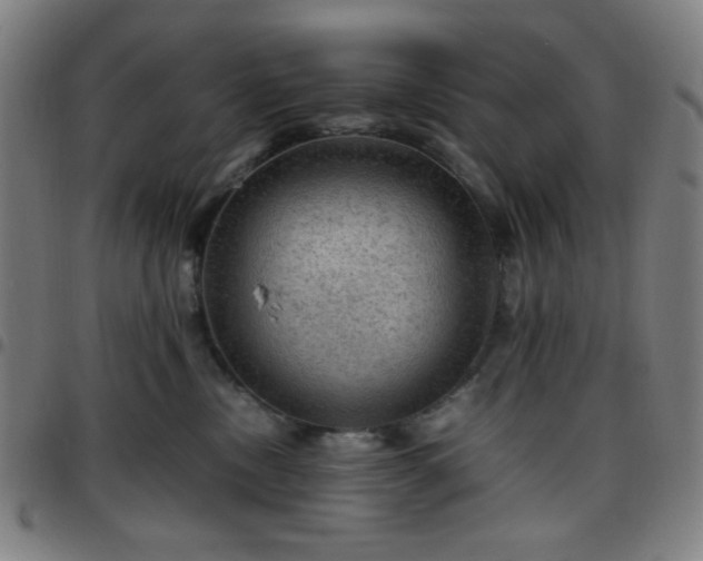 X0000097660378200803071538