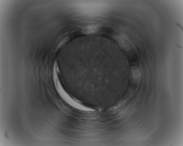 X0000097660380200803071538
