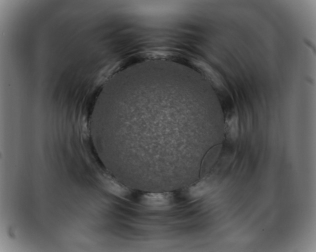 X0000097660381200803071538