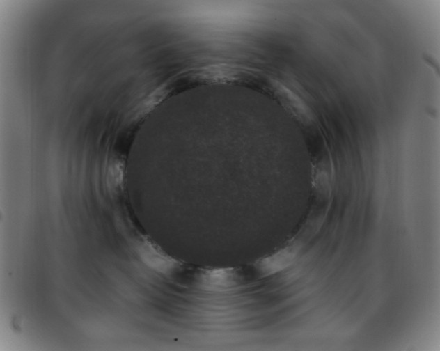 X0000097660382200803071538