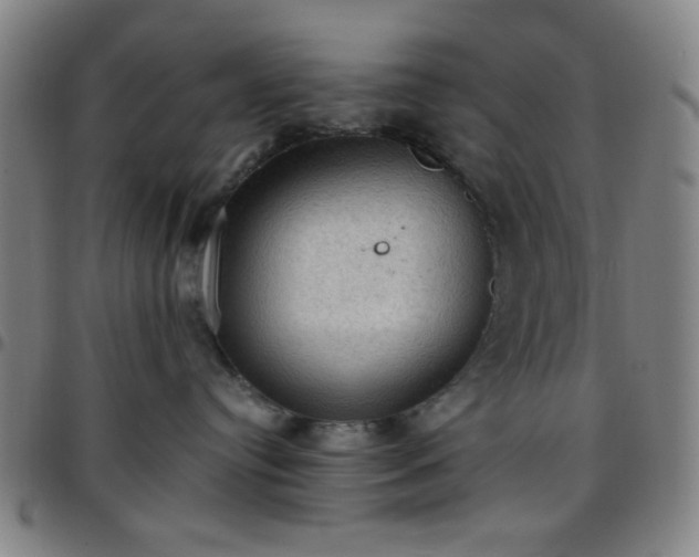 X0000097660384200803071538