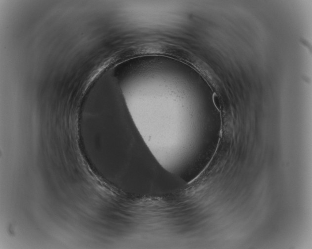X0000097660386200803071537