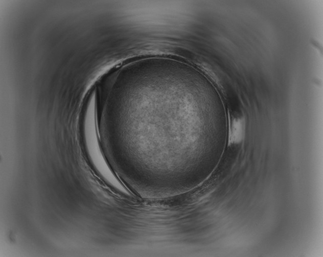 X0000097660387200803071537