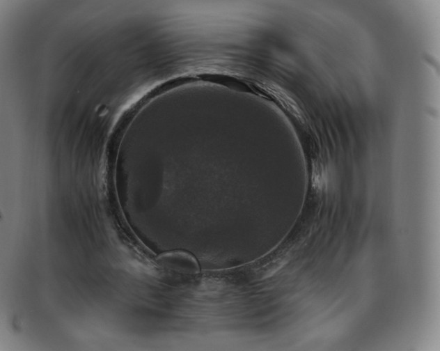 X0000097660388200803071537