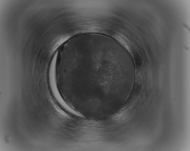X0000097660389200803071537