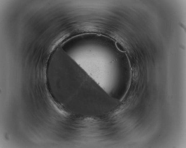 X0000097660390200803071537