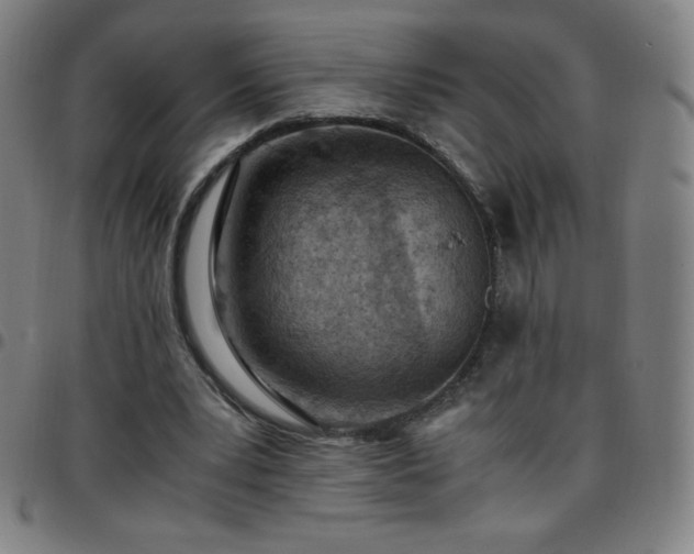 X0000097660391200803071537